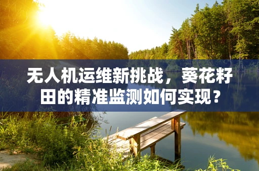 无人机运维新挑战，葵花籽田的精准监测如何实现？