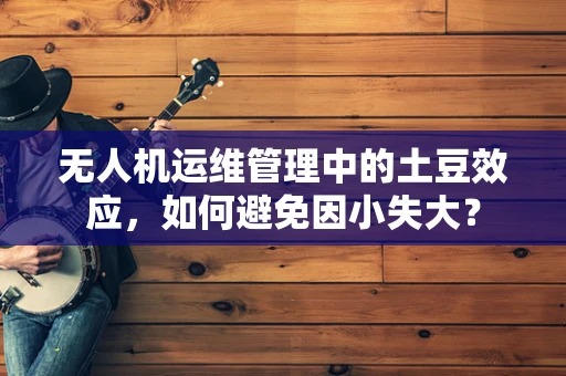无人机运维管理中的土豆效应，如何避免因小失大？