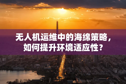 无人机运维中的海绵策略，如何提升环境适应性？