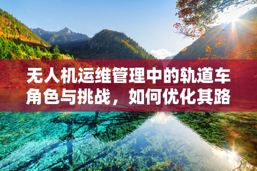 无人机运维管理中的轨道车角色与挑战，如何优化其路径规划与维护策略？