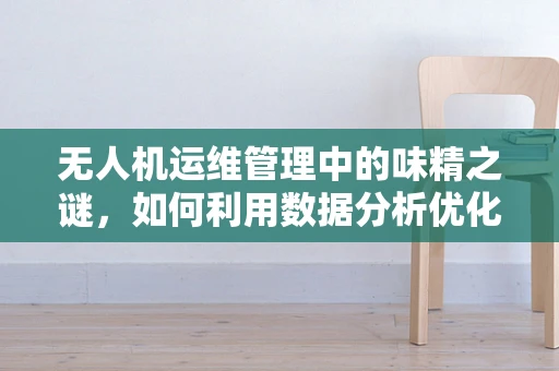 无人机运维管理中的味精之谜，如何利用数据分析优化飞行任务？