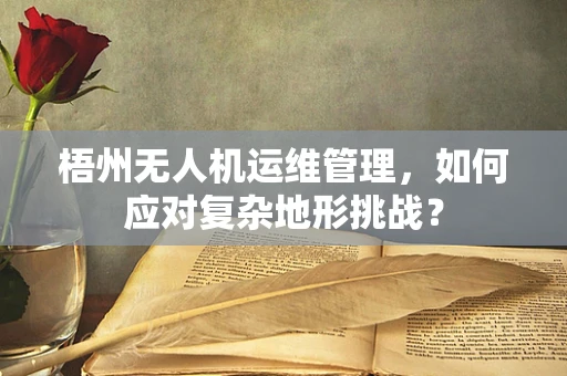 梧州无人机运维管理，如何应对复杂地形挑战？