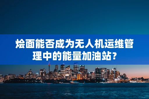 烩面能否成为无人机运维管理中的能量加油站？