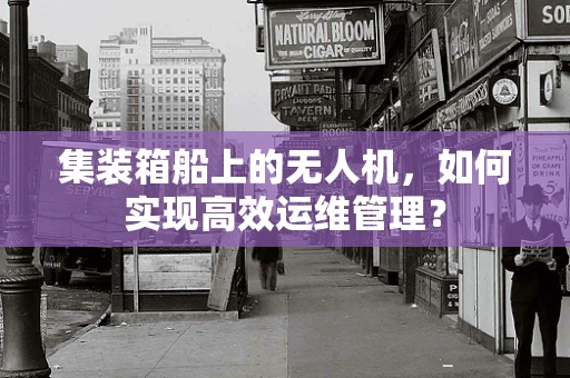 集装箱船上的无人机，如何实现高效运维管理？