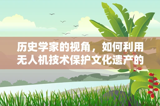 历史学家的视角，如何利用无人机技术保护文化遗产的‘空中守望者’？