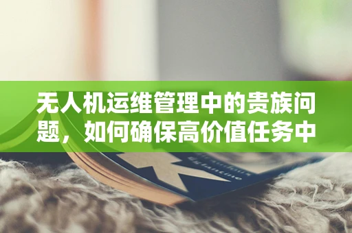 无人机运维管理中的贵族问题，如何确保高价值任务中的设备安全？