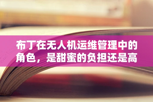 布丁在无人机运维管理中的角色，是甜蜜的负担还是高效的助手？