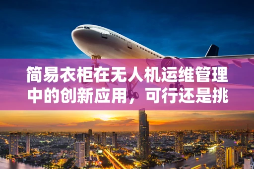 简易衣柜在无人机运维管理中的创新应用，可行还是挑战？