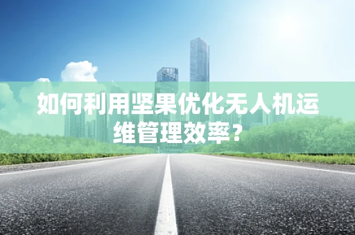 如何利用坚果优化无人机运维管理效率？