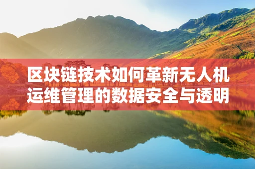 区块链技术如何革新无人机运维管理的数据安全与透明性？