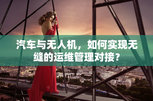汽车与无人机，如何实现无缝的运维管理对接？