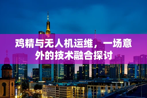 鸡精与无人机运维，一场意外的技术融合探讨