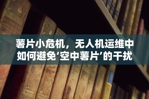 薯片小危机，无人机运维中如何避免‘空中薯片’的干扰？