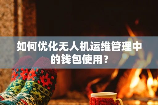如何优化无人机运维管理中的钱包使用？
