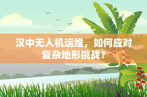 汉中无人机运维，如何应对复杂地形挑战？