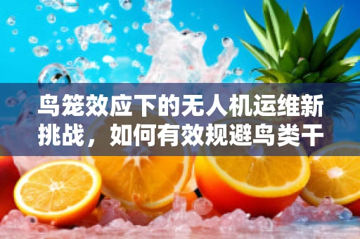 鸟笼效应下的无人机运维新挑战，如何有效规避鸟类干扰？