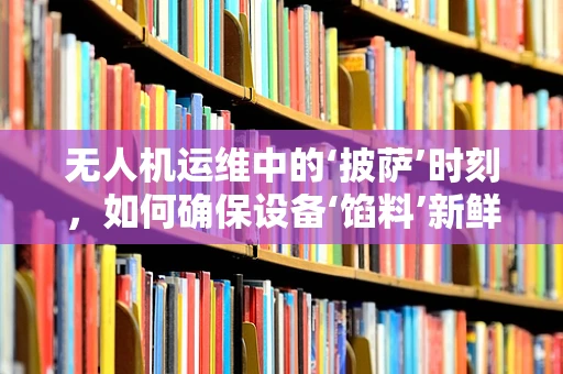 无人机运维中的‘披萨’时刻，如何确保设备‘馅料’新鲜？