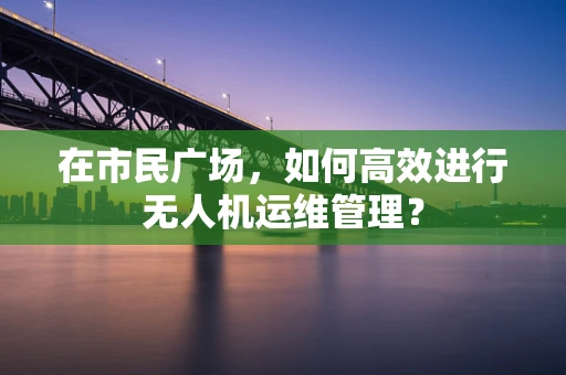 在市民广场，如何高效进行无人机运维管理？