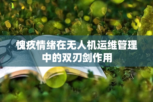 愧疚情绪在无人机运维管理中的双刃剑作用