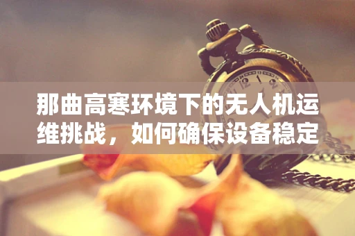 那曲高寒环境下的无人机运维挑战，如何确保设备稳定运行？