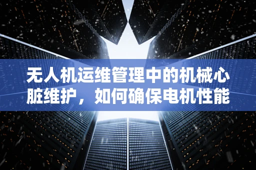 无人机运维管理中的机械心脏维护，如何确保电机性能的持续优化？