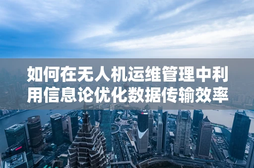 如何在无人机运维管理中利用信息论优化数据传输效率？
