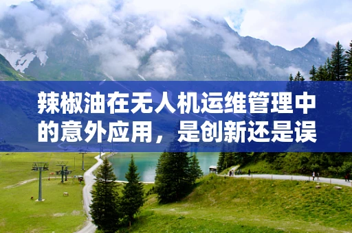 辣椒油在无人机运维管理中的意外应用，是创新还是误用？