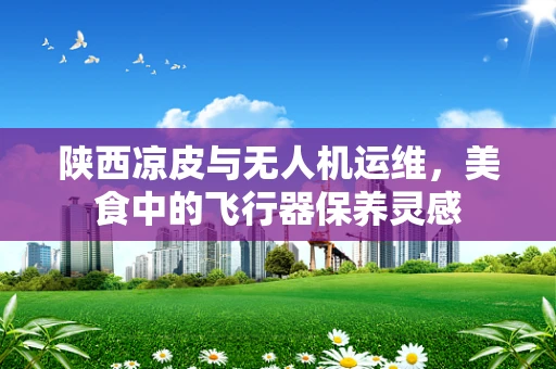 陕西凉皮与无人机运维，美食中的飞行器保养灵感