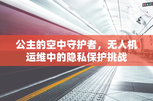 公主的空中守护者，无人机运维中的隐私保护挑战
