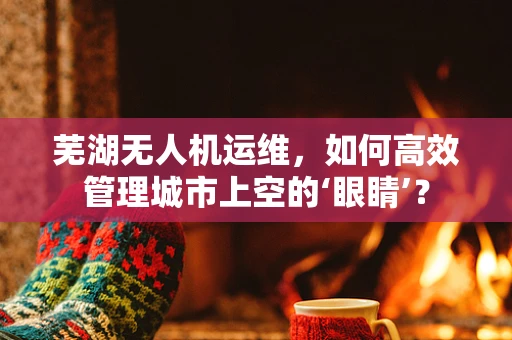芜湖无人机运维，如何高效管理城市上空的‘眼睛’？
