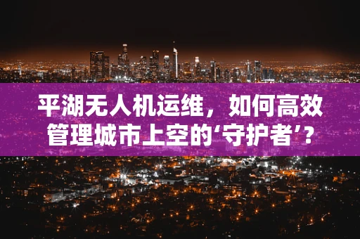 平湖无人机运维，如何高效管理城市上空的‘守护者’？
