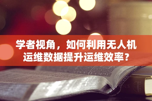 学者视角，如何利用无人机运维数据提升运维效率？