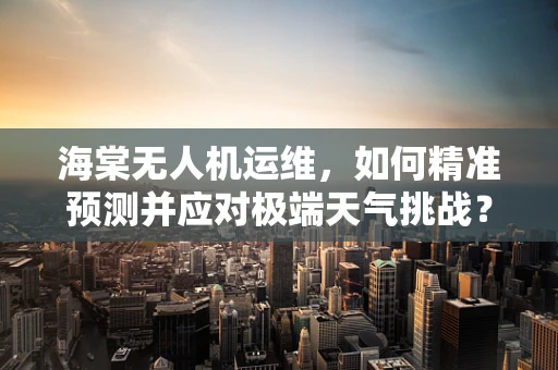 海棠无人机运维，如何精准预测并应对极端天气挑战？