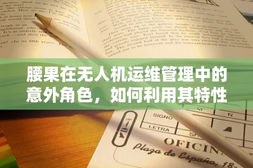 腰果在无人机运维管理中的意外角色，如何利用其特性优化电池管理？