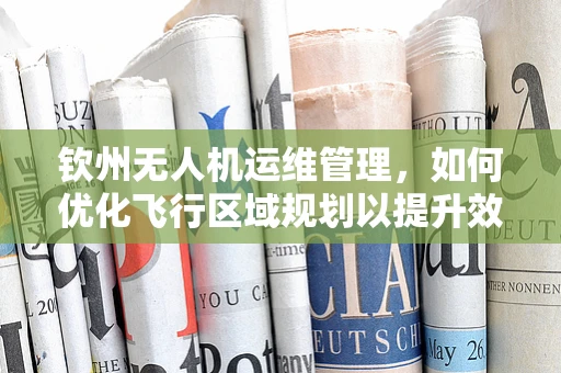 钦州无人机运维管理，如何优化飞行区域规划以提升效率？