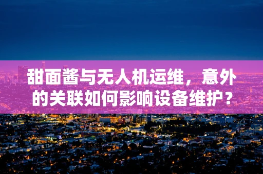 甜面酱与无人机运维，意外的关联如何影响设备维护？