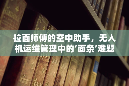 拉面师傅的空中助手，无人机运维管理中的‘面条’难题如何破解？