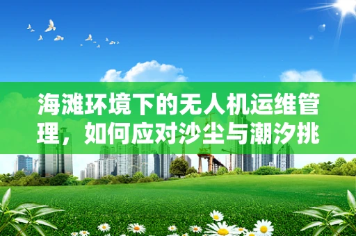 海滩环境下的无人机运维管理，如何应对沙尘与潮汐挑战？