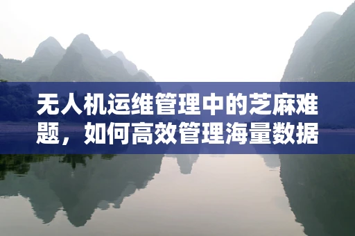 无人机运维管理中的芝麻难题，如何高效管理海量数据？