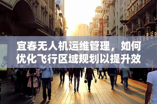 宜春无人机运维管理，如何优化飞行区域规划以提升效率？