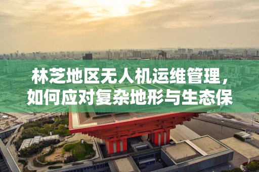 林芝地区无人机运维管理，如何应对复杂地形与生态保护的挑战？