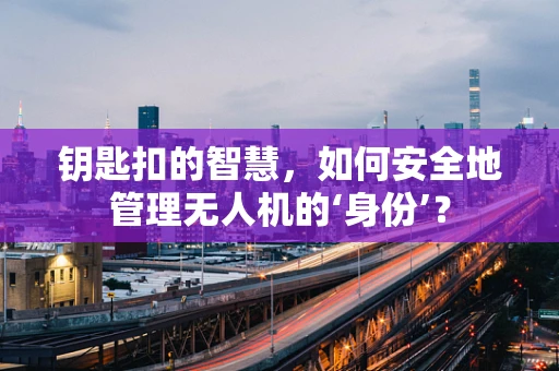 钥匙扣的智慧，如何安全地管理无人机的‘身份’？
