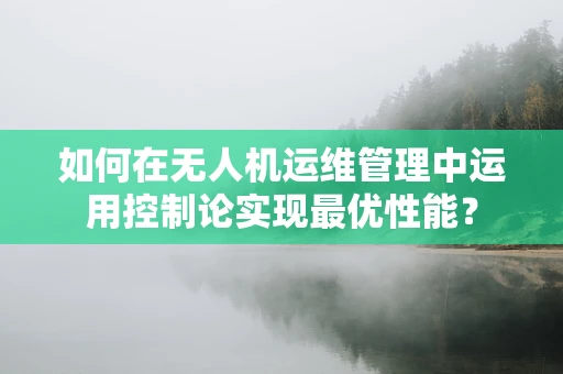 如何在无人机运维管理中运用控制论实现最优性能？