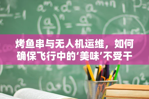 烤鱼串与无人机运维，如何确保飞行中的‘美味’不受干扰？