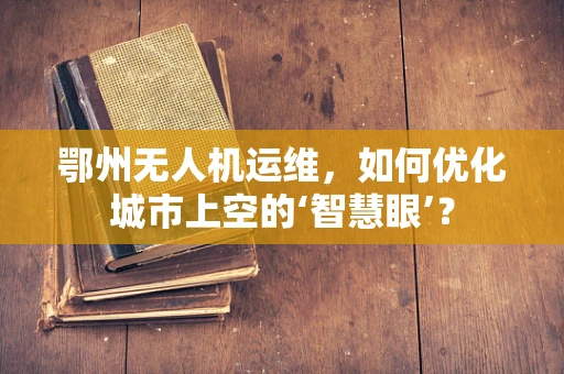鄂州无人机运维，如何优化城市上空的‘智慧眼’？