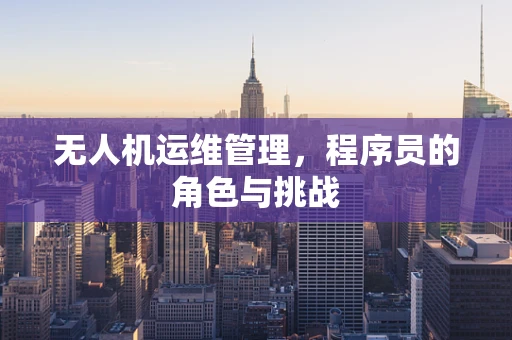无人机运维管理，程序员的角色与挑战