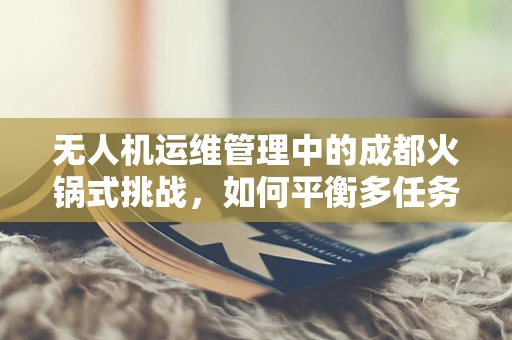 无人机运维管理中的成都火锅式挑战，如何平衡多任务与味觉享受？