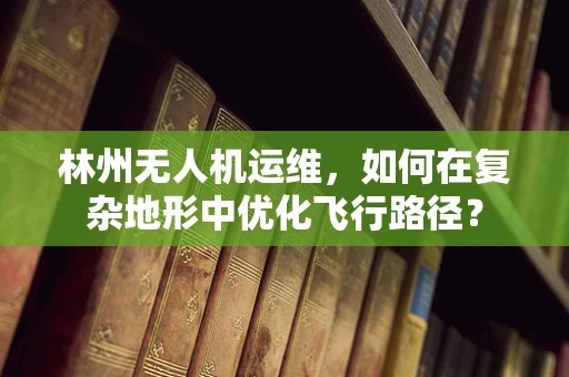 林州无人机运维，如何在复杂地形中优化飞行路径？