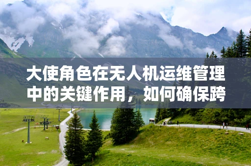大使角色在无人机运维管理中的关键作用，如何确保跨地域协作的顺畅性？
