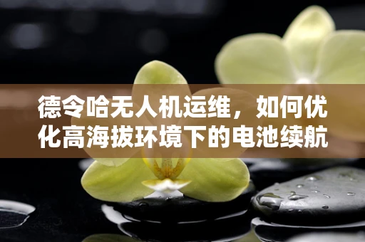 德令哈无人机运维，如何优化高海拔环境下的电池续航？
